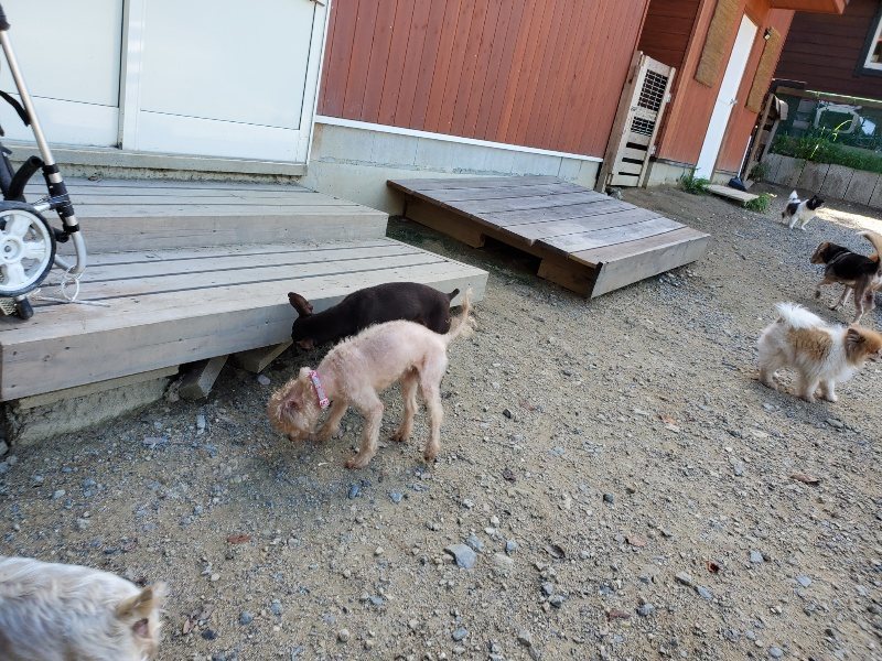 f:id:roukenhome-ann:20190909064656j:plain
