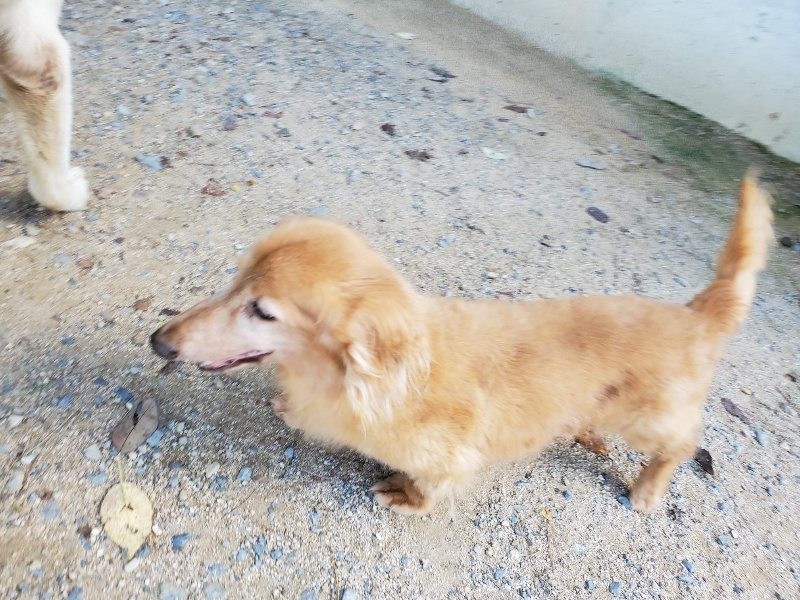 f:id:roukenhome-ann:20190909064702j:plain