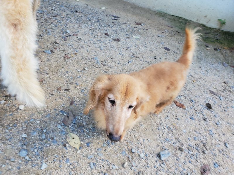 f:id:roukenhome-ann:20190909064709j:plain