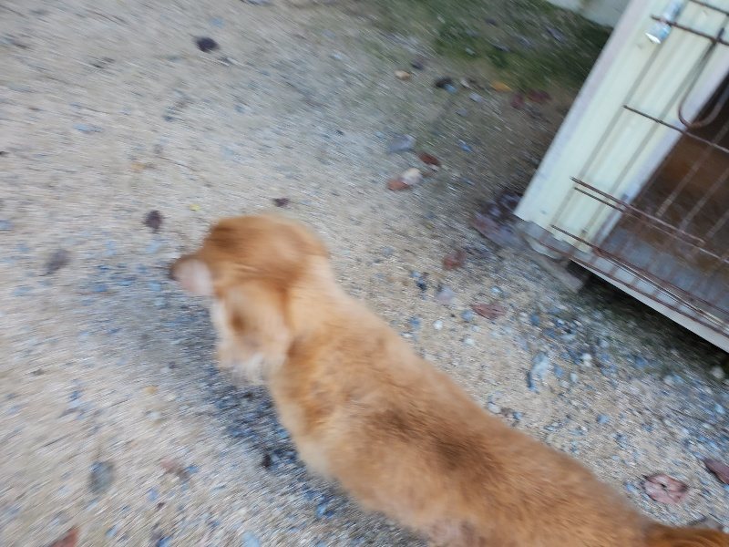 f:id:roukenhome-ann:20190909064717j:plain