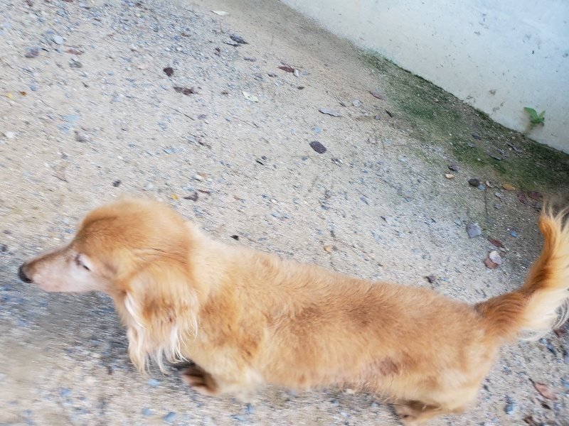 f:id:roukenhome-ann:20190909064723j:plain