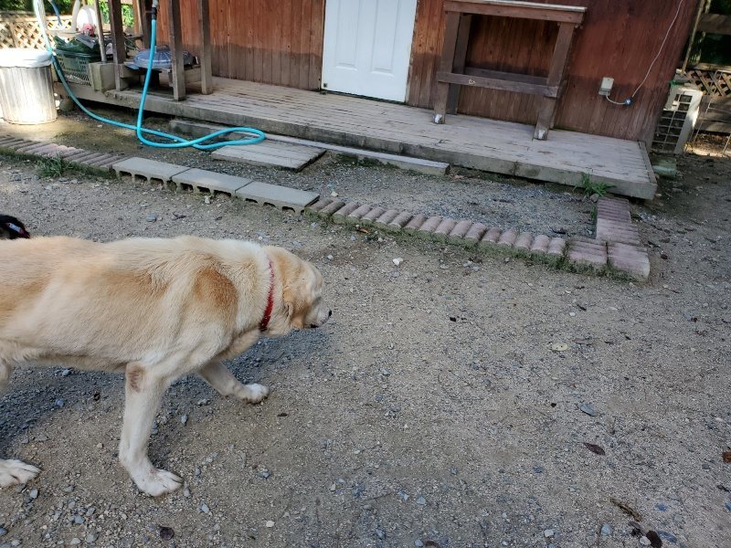 f:id:roukenhome-ann:20190909064737j:plain