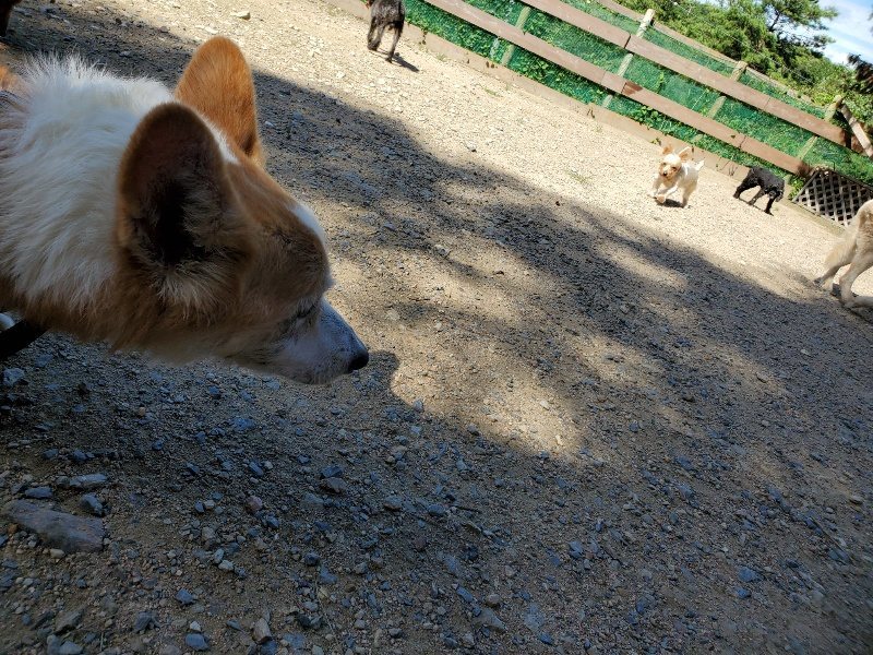 f:id:roukenhome-ann:20190909064819j:plain