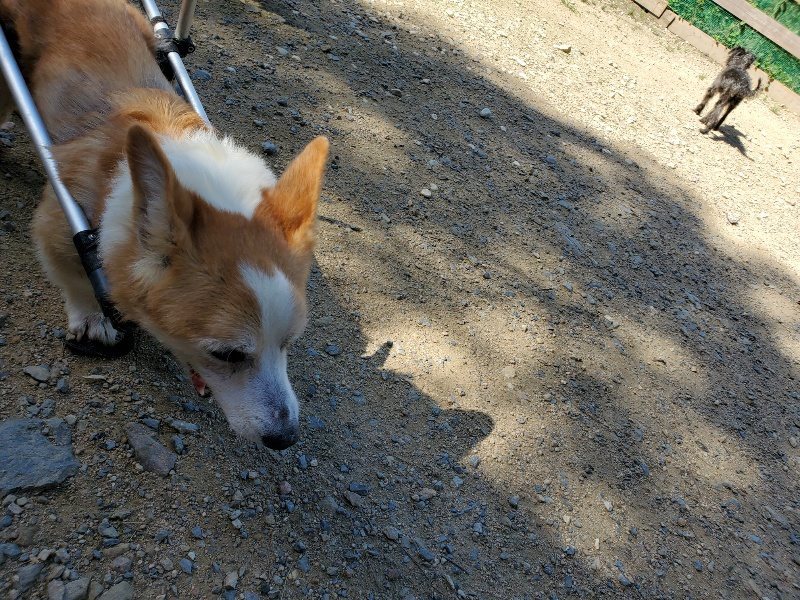 f:id:roukenhome-ann:20190909064827j:plain