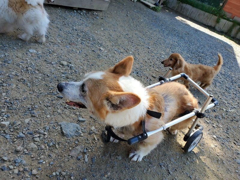 f:id:roukenhome-ann:20190909064839j:plain