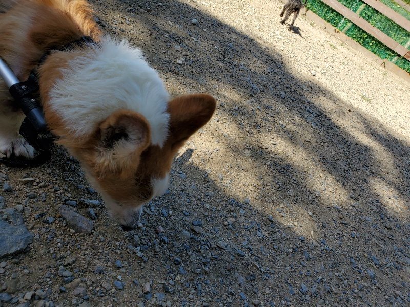 f:id:roukenhome-ann:20190909064847j:plain