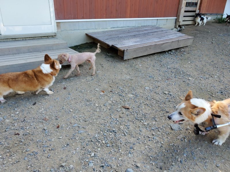 f:id:roukenhome-ann:20190909064903j:plain