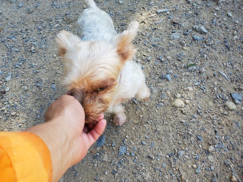 f:id:roukenhome-ann:20190909064919j:plain