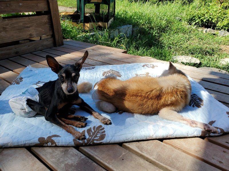 f:id:roukenhome-ann:20190909064940j:plain