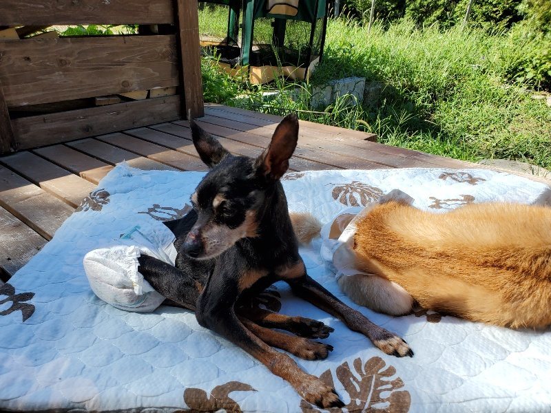f:id:roukenhome-ann:20190909064954j:plain