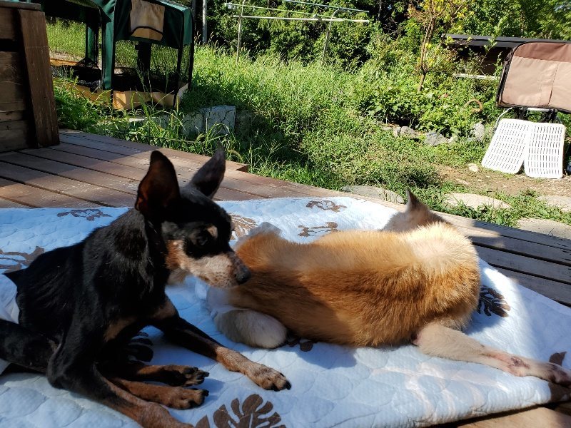 f:id:roukenhome-ann:20190909065003j:plain
