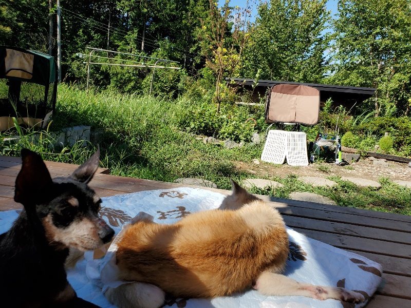 f:id:roukenhome-ann:20190909065010j:plain