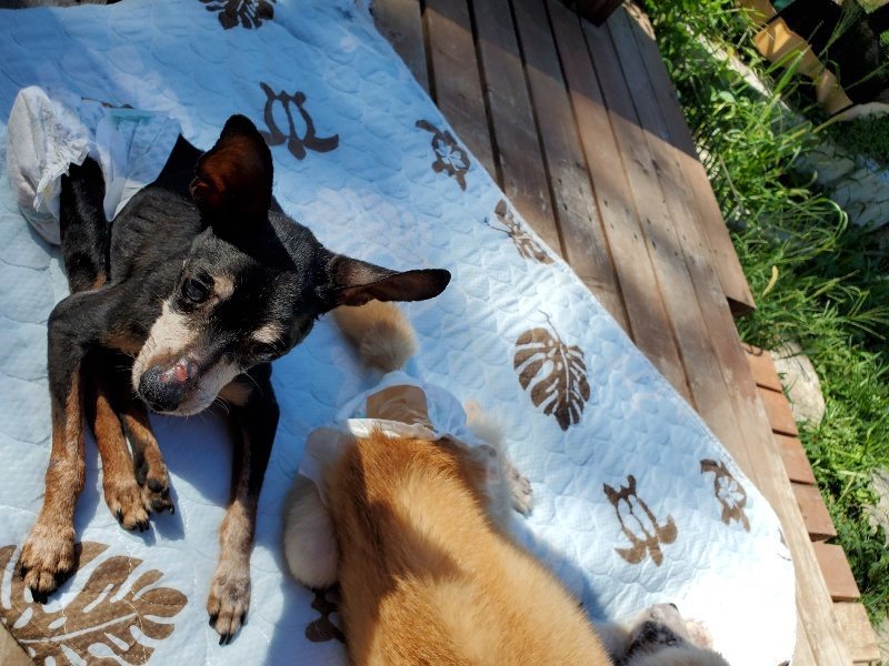 f:id:roukenhome-ann:20190909065041j:plain