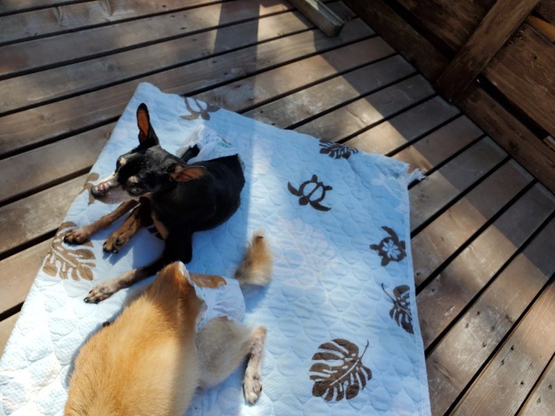 f:id:roukenhome-ann:20190909065053j:plain