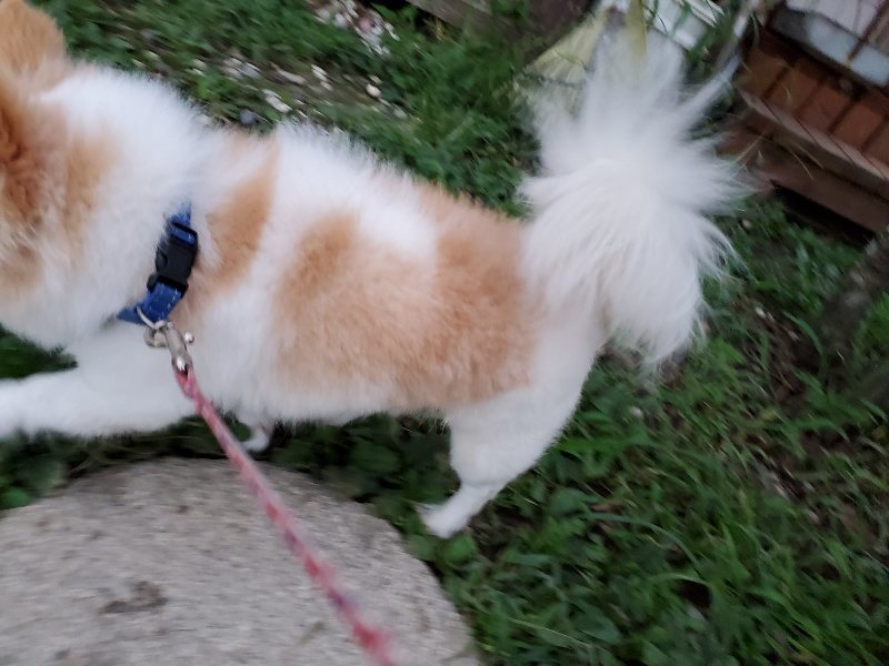 f:id:roukenhome-ann:20190909065132j:plain