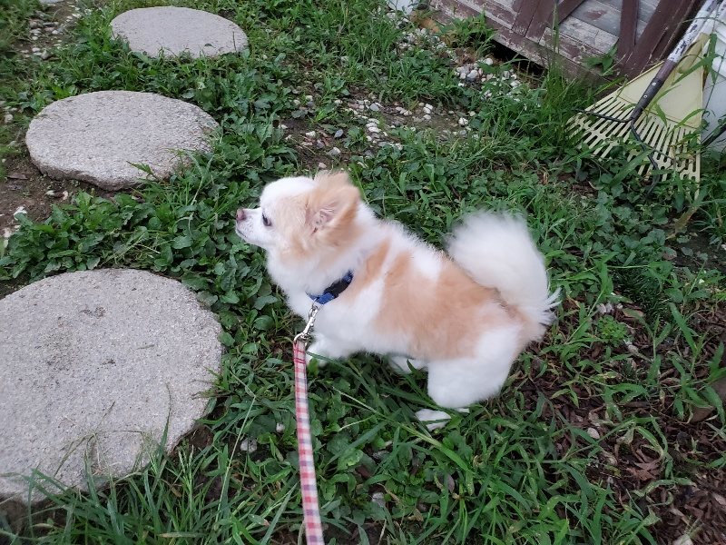 f:id:roukenhome-ann:20190909065140j:plain