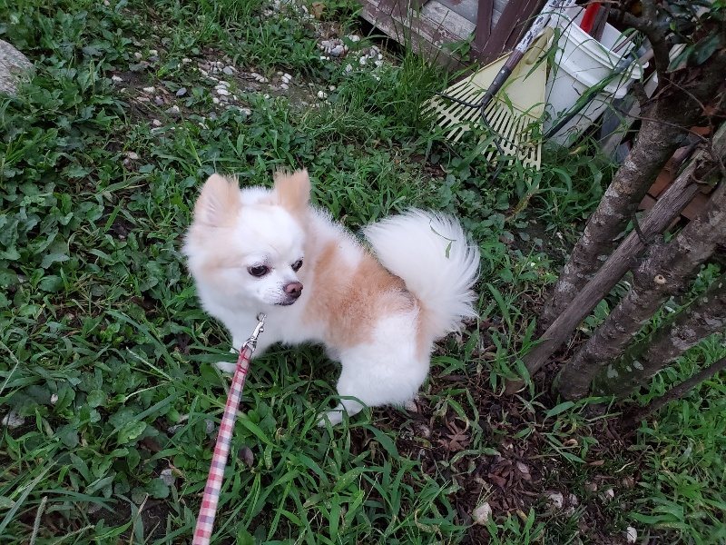 f:id:roukenhome-ann:20190909065147j:plain