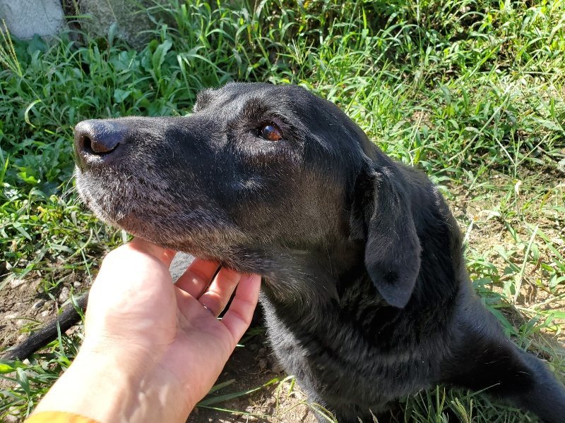 f:id:roukenhome-ann:20190909065209j:plain