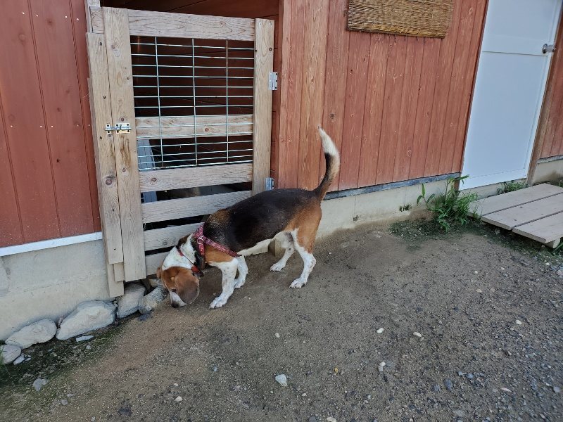 f:id:roukenhome-ann:20190909065250j:plain