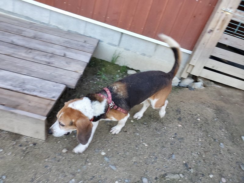 f:id:roukenhome-ann:20190909065257j:plain