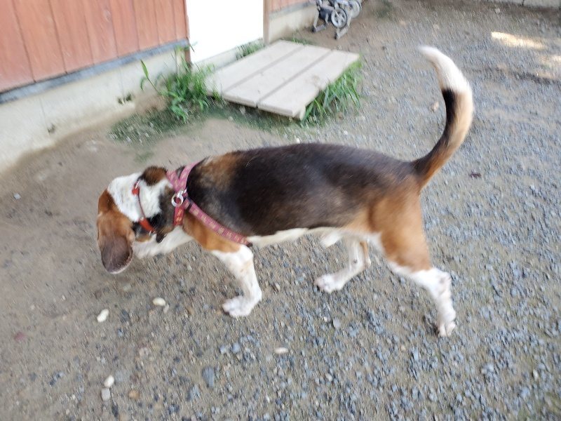 f:id:roukenhome-ann:20190909065303j:plain