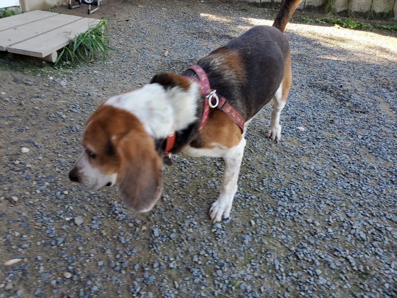 f:id:roukenhome-ann:20190909065329j:plain