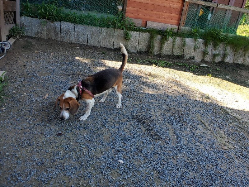 f:id:roukenhome-ann:20190909065338j:plain