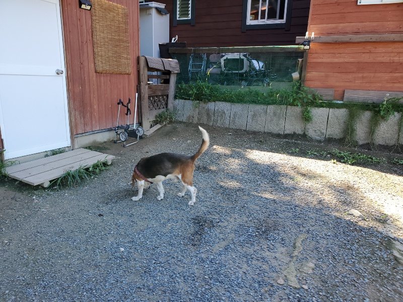 f:id:roukenhome-ann:20190909065344j:plain