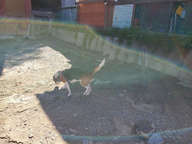 f:id:roukenhome-ann:20190909065358j:plain