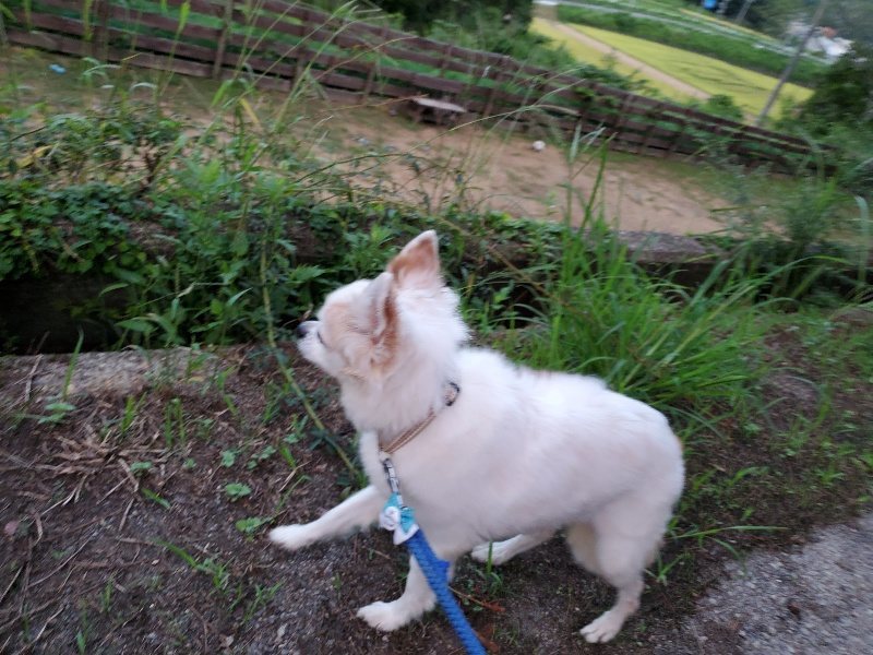 f:id:roukenhome-ann:20190909065407j:plain