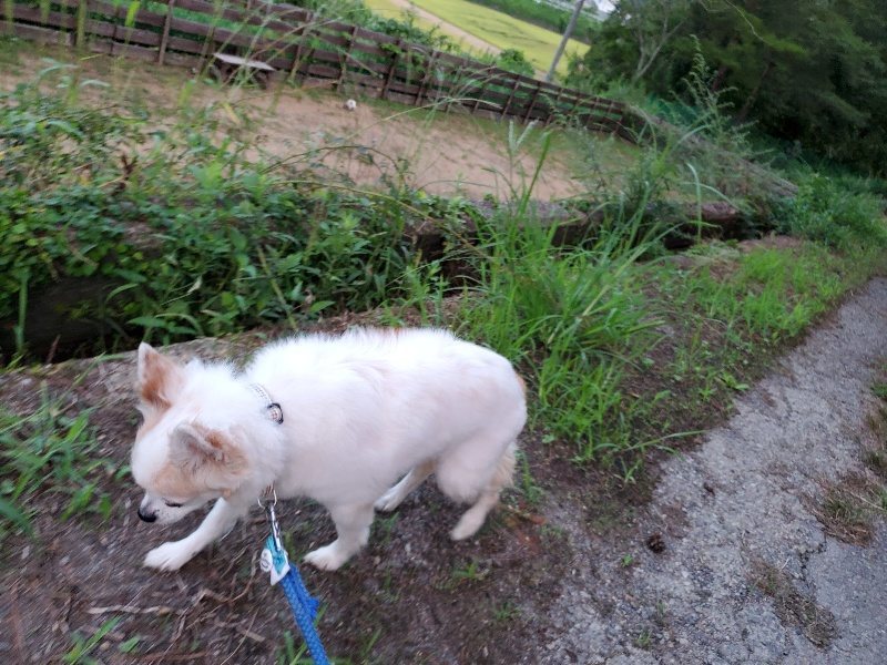 f:id:roukenhome-ann:20190909065414j:plain