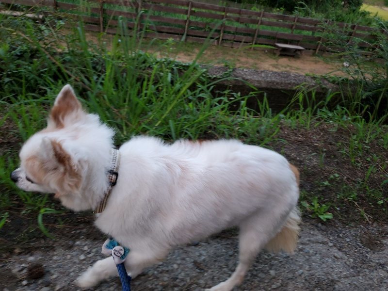 f:id:roukenhome-ann:20190909065421j:plain