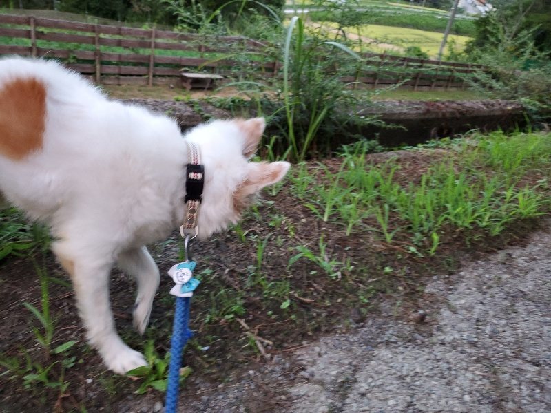 f:id:roukenhome-ann:20190909065427j:plain