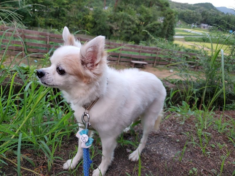 f:id:roukenhome-ann:20190909065433j:plain