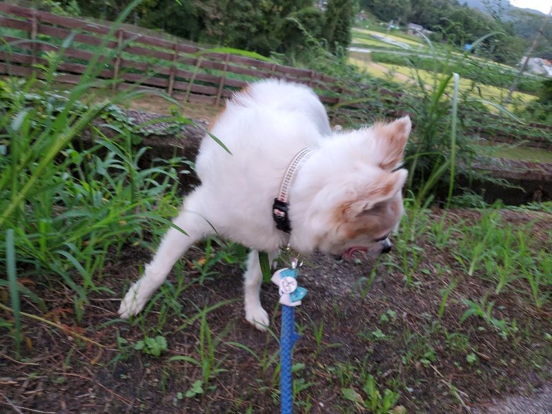 f:id:roukenhome-ann:20190909065440j:plain