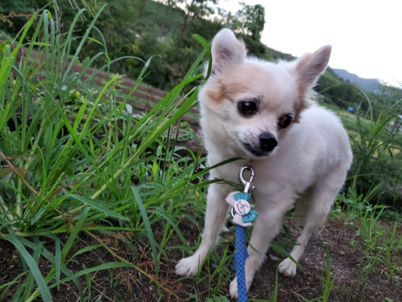 f:id:roukenhome-ann:20190909065447j:plain