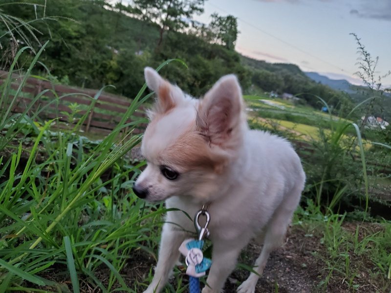 f:id:roukenhome-ann:20190909065452j:plain
