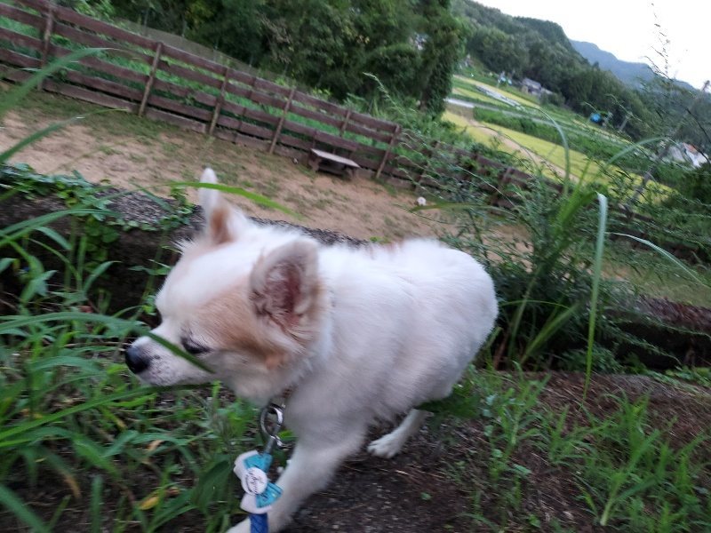 f:id:roukenhome-ann:20190909065508j:plain