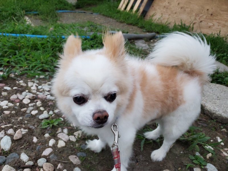 f:id:roukenhome-ann:20190909065514j:plain