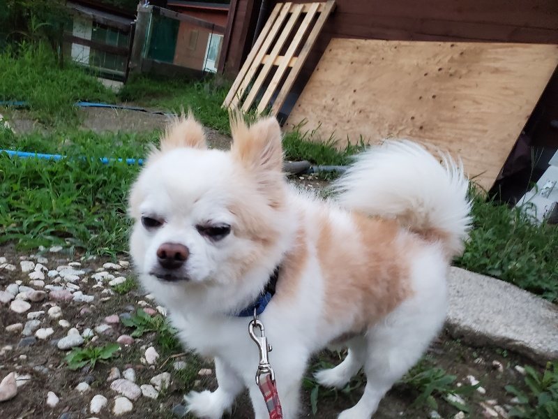 f:id:roukenhome-ann:20190909065521j:plain