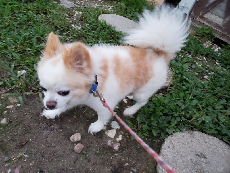f:id:roukenhome-ann:20190909065526j:plain