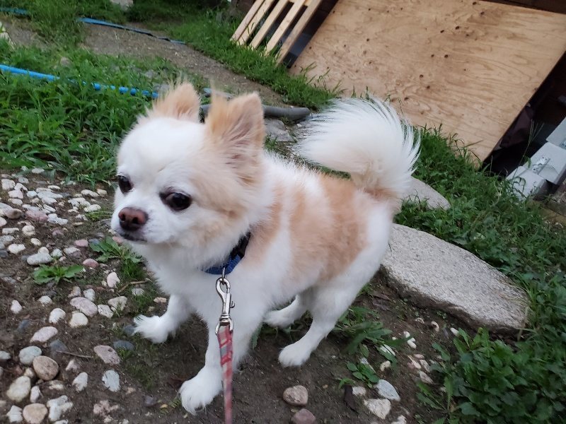 f:id:roukenhome-ann:20190909065533j:plain