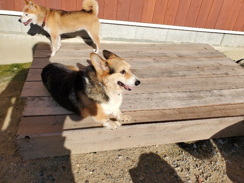 f:id:roukenhome-ann:20190909182647j:plain