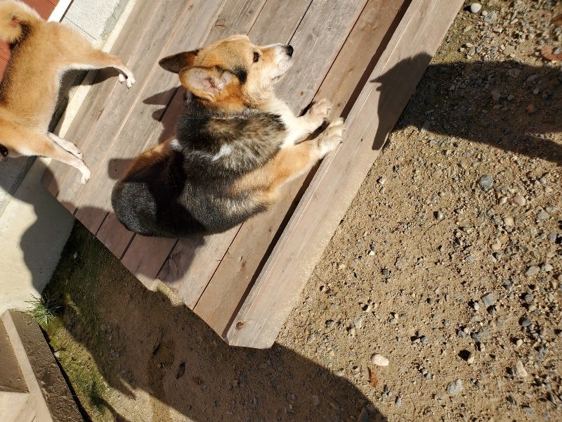 f:id:roukenhome-ann:20190909182658j:plain