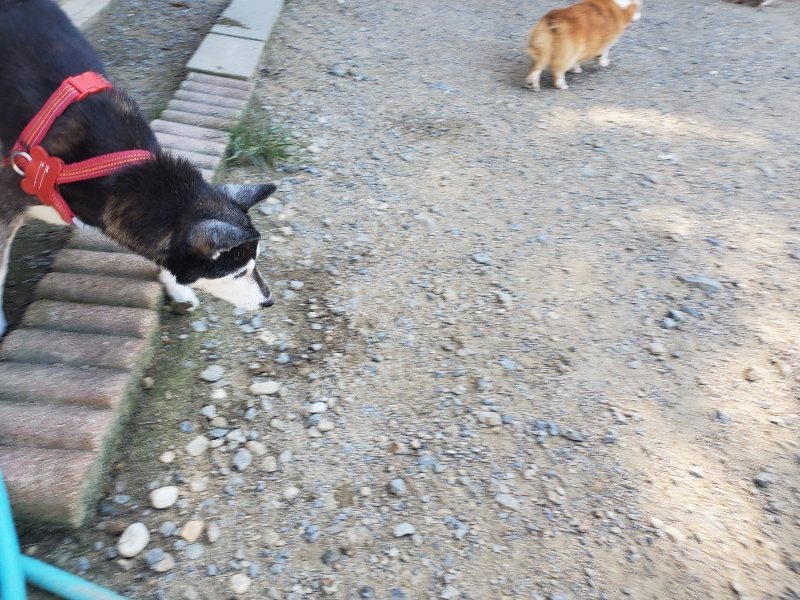 f:id:roukenhome-ann:20190909182753j:plain