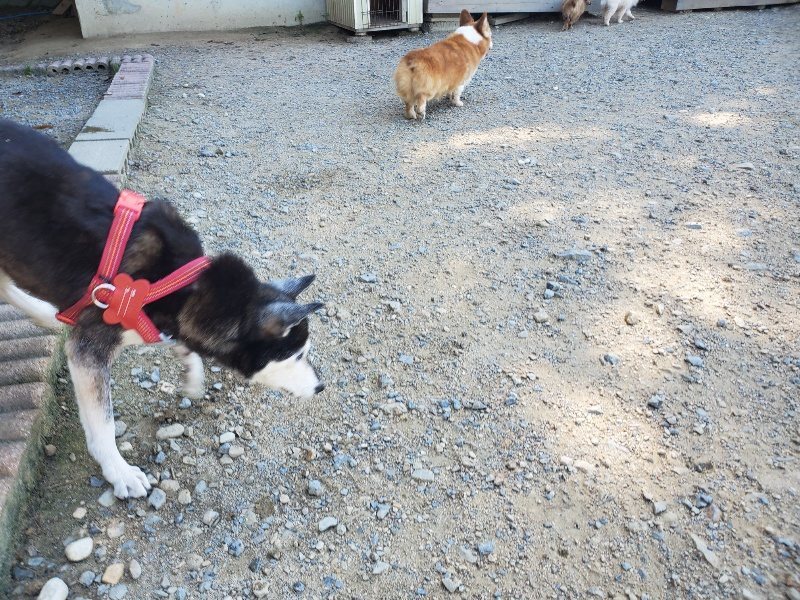 f:id:roukenhome-ann:20190909182800j:plain