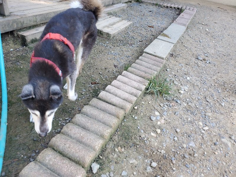 f:id:roukenhome-ann:20190909182807j:plain