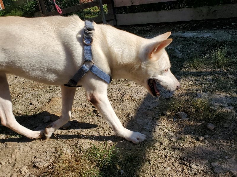 f:id:roukenhome-ann:20190909182832j:plain