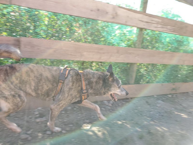 f:id:roukenhome-ann:20190909182837j:plain
