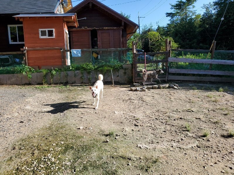 f:id:roukenhome-ann:20190909182912j:plain